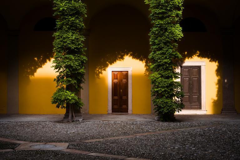 Žltý rodinný dom s dvoma dverami a ihličnatými stromami.jpg